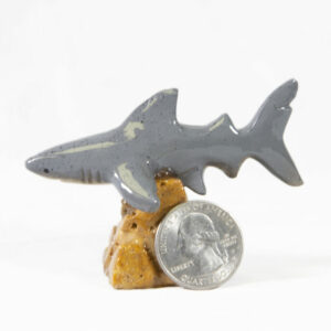 Marble Shark 2" - Turtleman Foundation Purchase (One Shark)