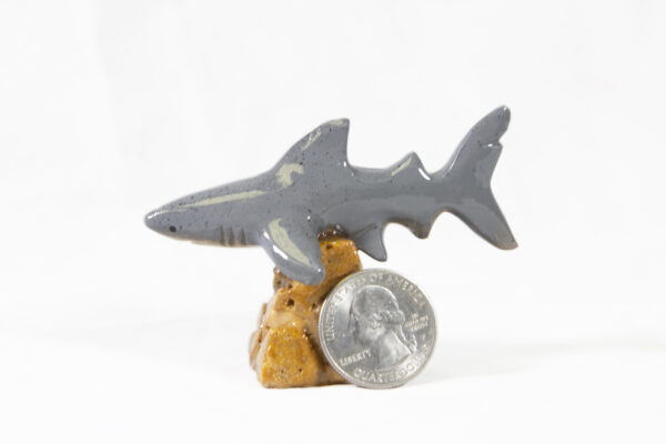 Marble Sharks 2" with coin for size