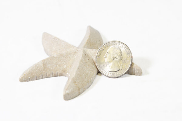 3 inch Marble Starfish with coin for size