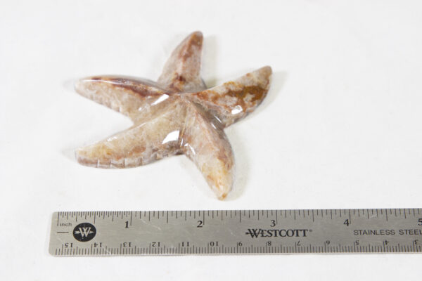 3 inch Marble Starfish with ruler for size