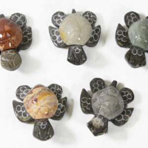 Natural Marble Turtle Magnet 1.5" - Turtleman Foundation Purchase