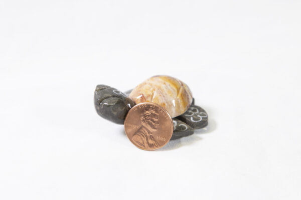 Natural Marble Turtle Magnets 1.5" with coin for size