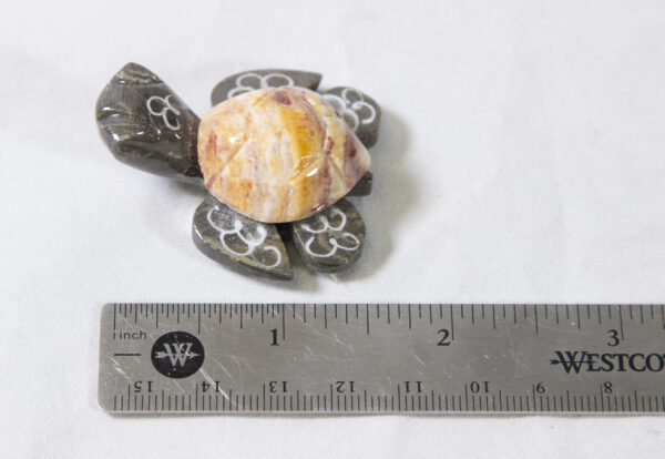 Natural Marble Turtle Magnets 1.5" with ruler for size