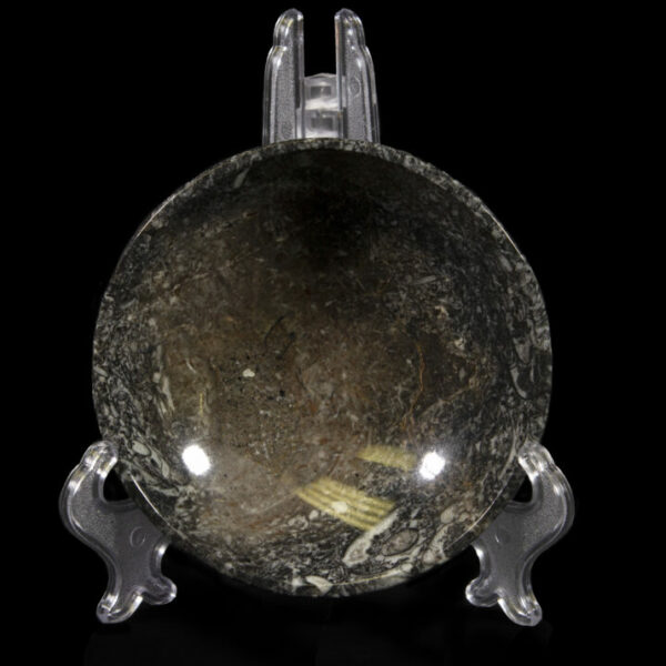 Ammonite and Orthoceras Bowl