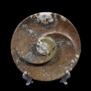 Brown Ammonite Round Spiral Dish
