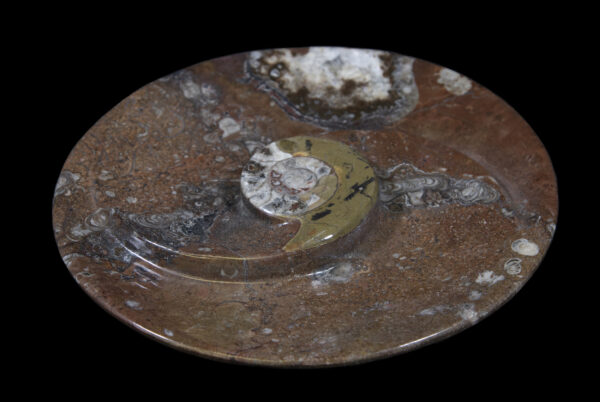 Brown Ammonite Round Spiral Dish top view
