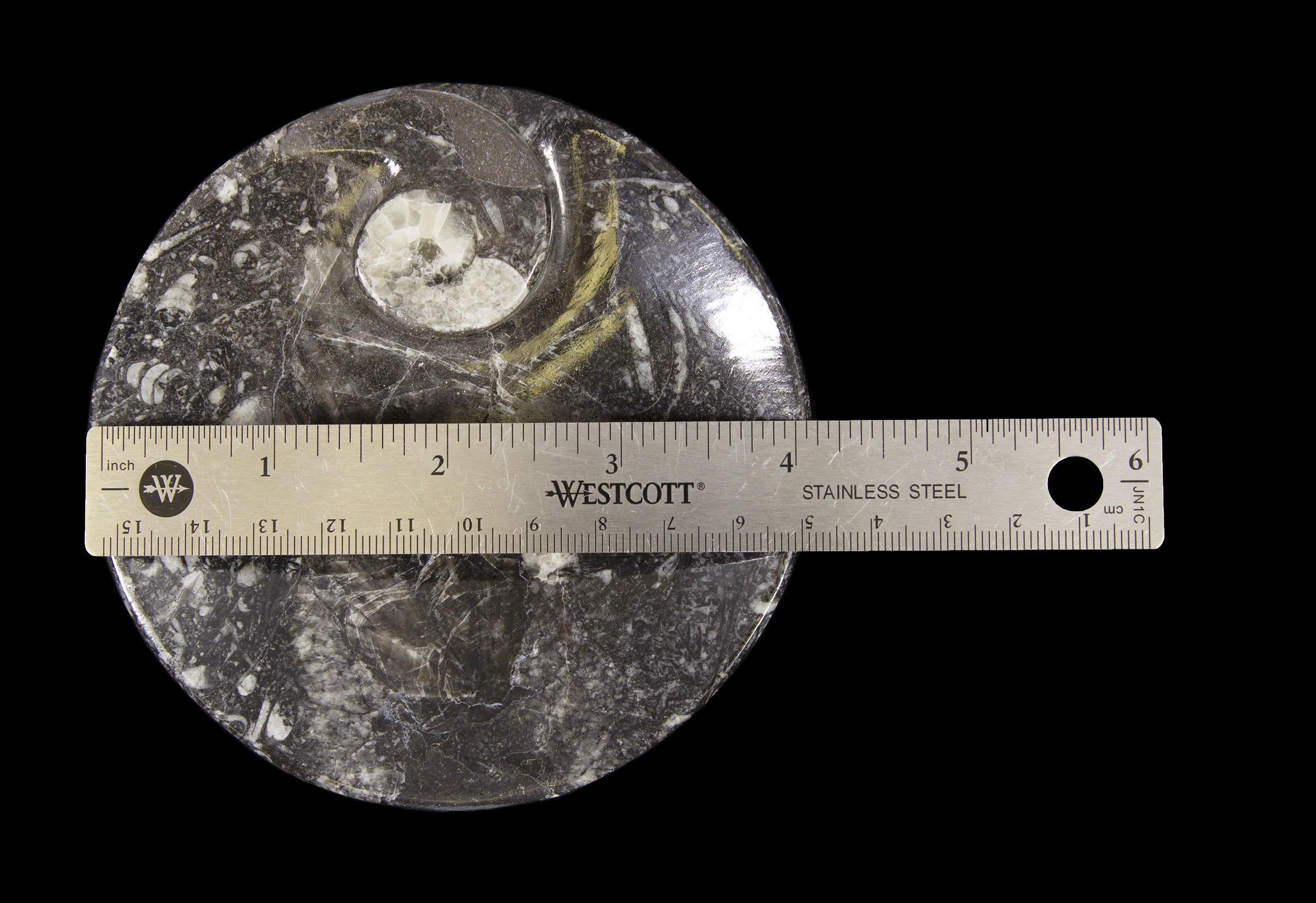 Black Ammonite and Orthoceras Round Tray