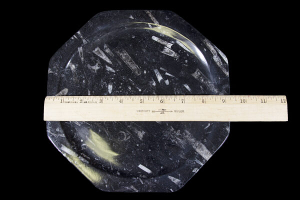 Black Octagonal Orthoceras Plate with ruler for size