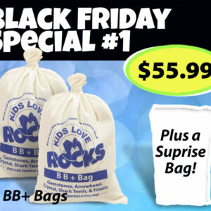 Black Friday Deal 2 BB+ Bags and 1 Free Surprise Bag