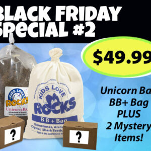 Black Friday Deal - Unicorn Bag and BB+ and Two Mystery Items