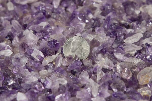 1 lb Amethyst gravel mix with coin for size