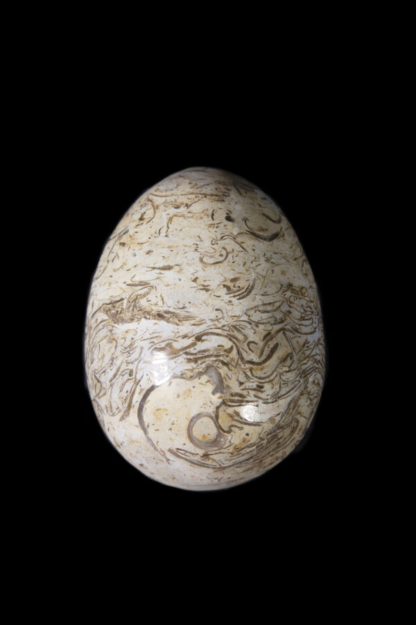 onyx polished egg