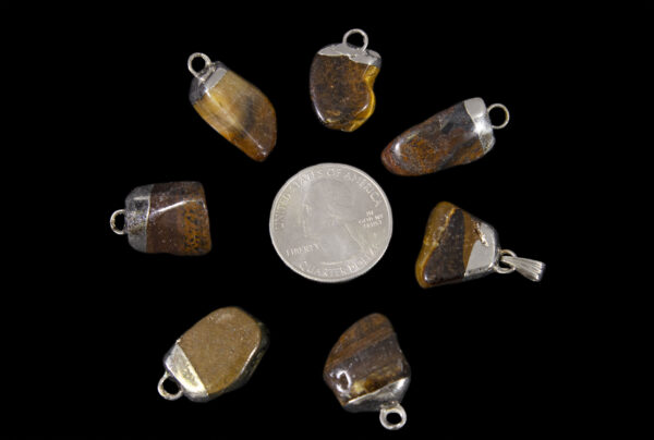 Tumbled Tigers Eye pendant with quarter