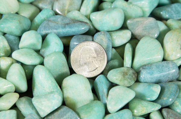 tumbled amazonite with quarter to scale