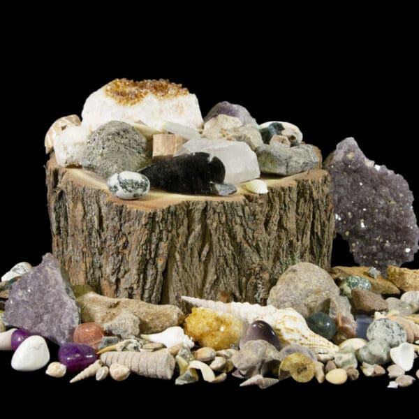 Mystery Grab Bags - Crystals, Rocks, Fossils, and more! (One Bag)