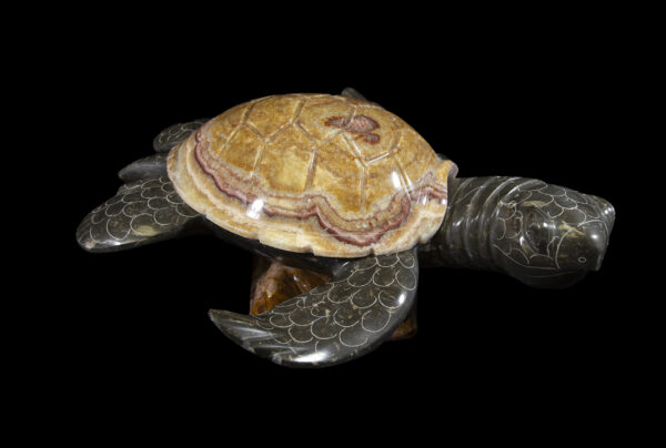 fred marble turtle