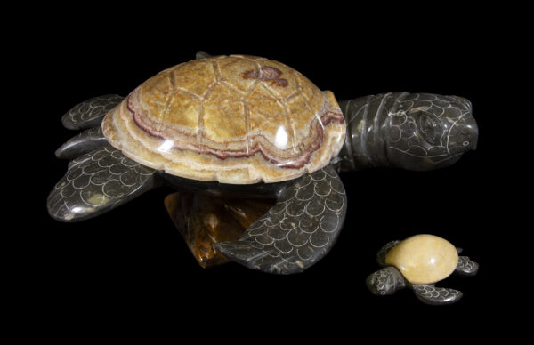 large and small marble turtle