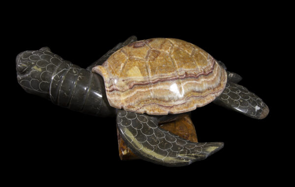 marble turtle