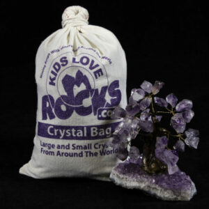 Crystal Combo Deal! ONE Crystal Bag and ONE 5" Amethyst Gemstone Tree
