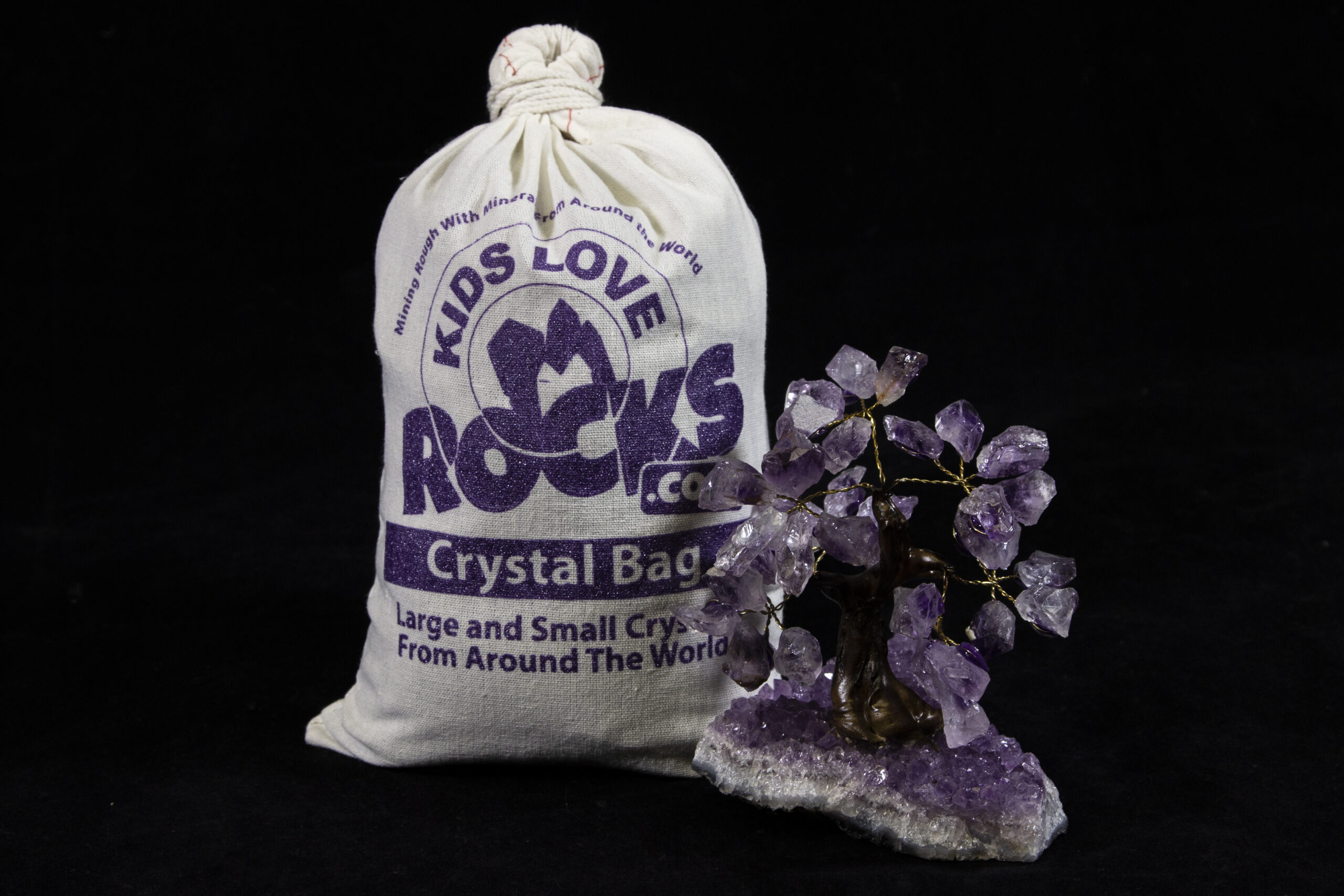 Crystal Bag and 5" Amethyst Gemstone Tree