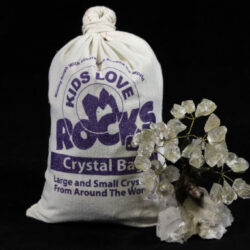 Crystal Bag and 5" Crystal Gemstone Tree
