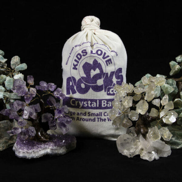 Crystal Combo Deal! ONE Crystal Bag and ONE 5" Amethyst Gemstone Tree