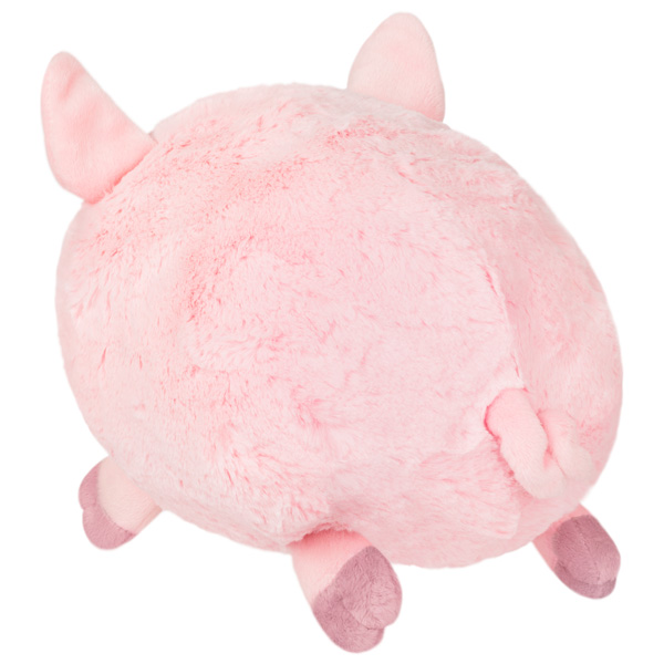 Back of Mini Squishable Piggy