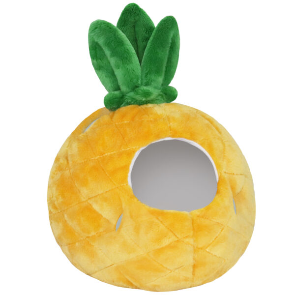 Hiding Undercover Kitty in Pineapple