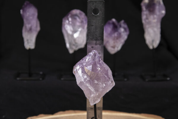 Amethyst Points on a Stand with ruler