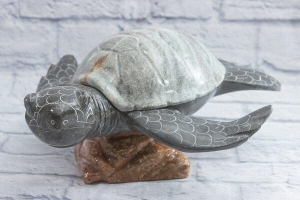 Fred - 18" Marble turtle brown