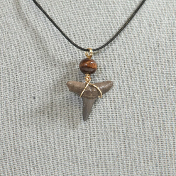 Shark tooth Necklace (Florida Shark Tooth) Wood Bead