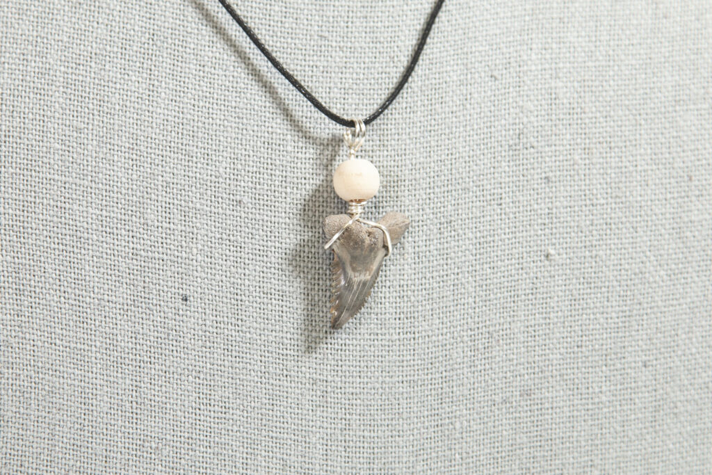 Grant Field Specimens Great White Shark Tooth Necklace, Resin, resin :  Amazon.ca: Industrial & Scientific