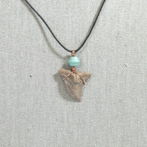 Shark Tooth Necklace (Florida Shark) Turquoise Bead