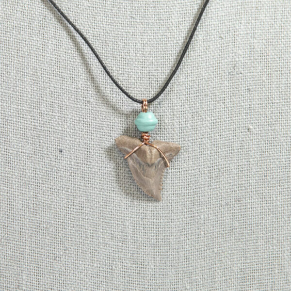 Shark Tooth Necklace (Florida Shark) Turquoise Bead