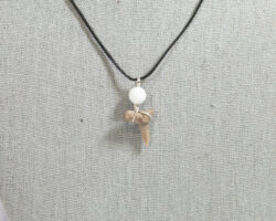 Shark tooth necklace with white bead