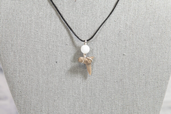 Shark tooth necklace with white bead