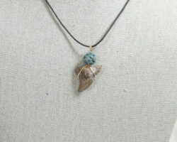 Shark Tooth Necklace with Turquoise Lava Stone (Florida Shark)