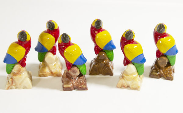 marble macaw parrots