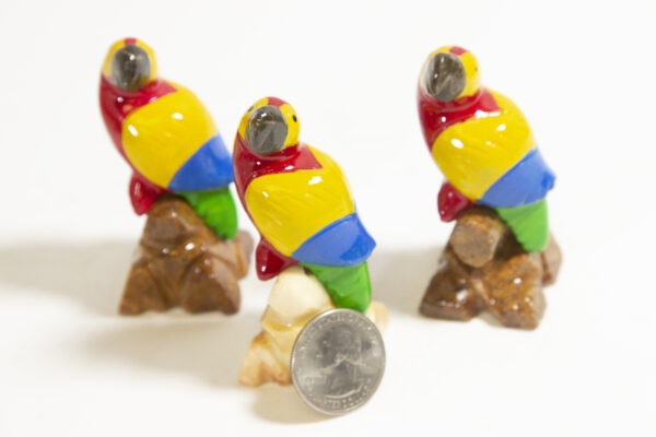 marble macaw parrots