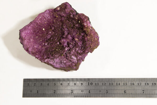 XL Purple Dyed Geode with Gold Flakes with ruler to show scale