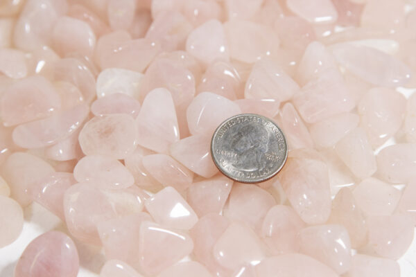 tumbled rose quartz with quarter to show size