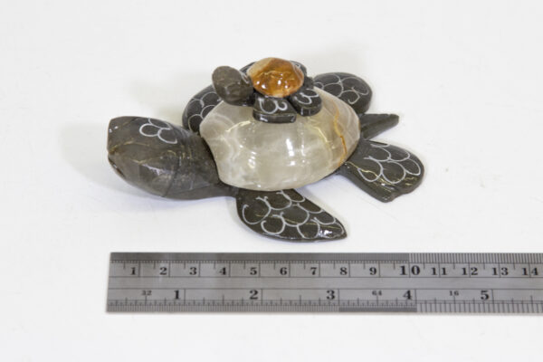 Marble Turtle and Baby next to ruler for size comparison
