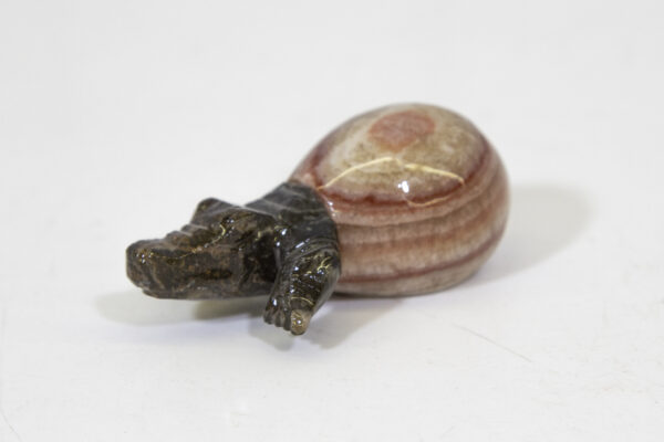 Marble Crocodile Hatchling with Red Colored Rock