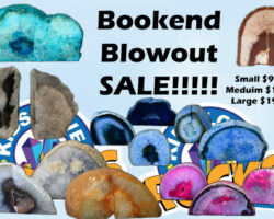 Bookend Blow Out Sale (Medium) Assorted