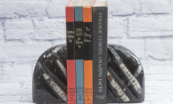 Lg Round Orthoceras Bookends