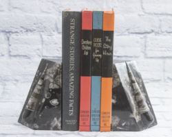 Xlg Orthoceras Bookends