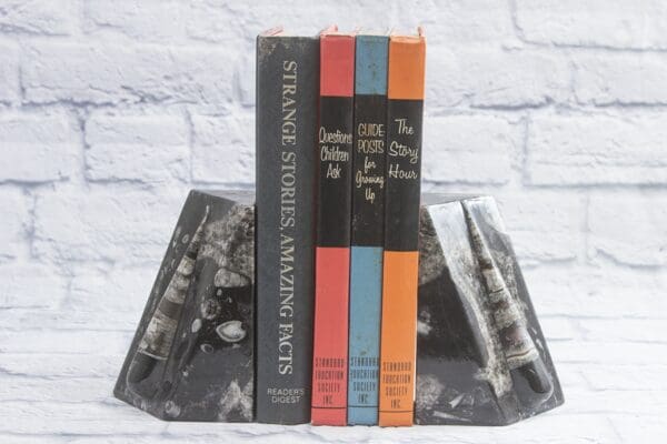 xlg Orthoceras bookends with books in between both ends