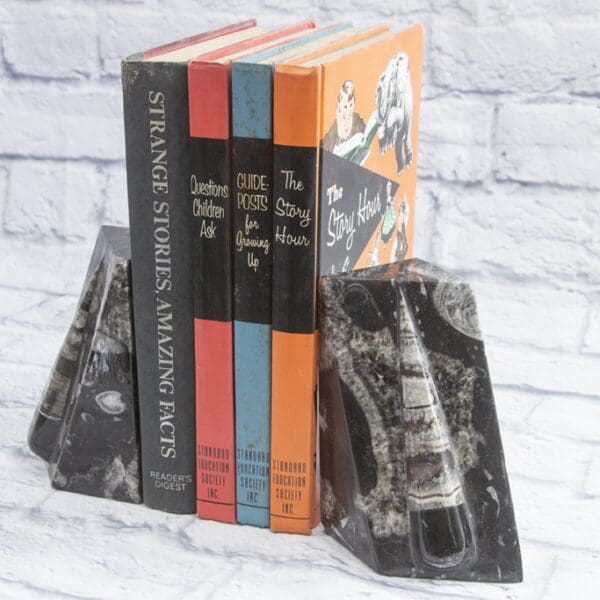 Xlg Orthoceras Bookends