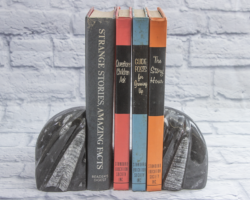 Small Round Orthoceras Bookends