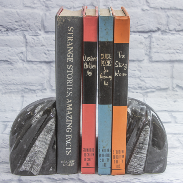 Small Round Orthoceras Bookends